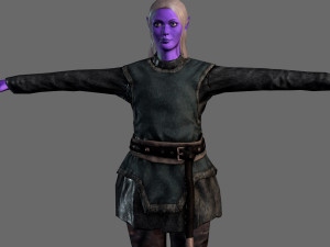 animated elf woman-rigged 3d game character Model 3D