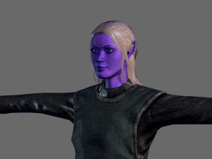 animated elf woman-rigged 3d game character Model 3D