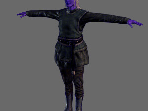 animated elf woman-rigged 3d game character Model 3D