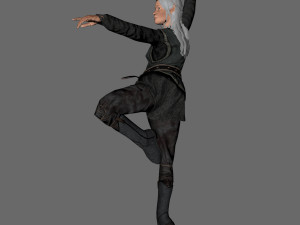 animated elf woman-rigged 3d game character 3D Model