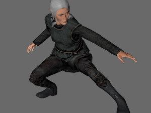 animated elf woman-rigged 3d game character Model 3D