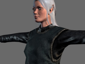 animated elf woman-rigged 3d game character Model 3D