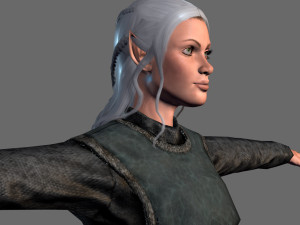 animated elf woman-rigged 3d game character Model 3D