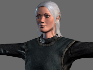 animated elf woman-rigged 3d game character Model 3D