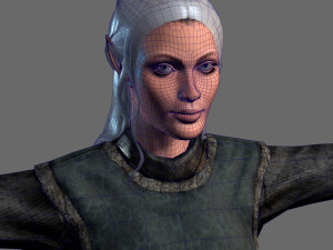 animated elf woman-rigged 3d game character Model 3D