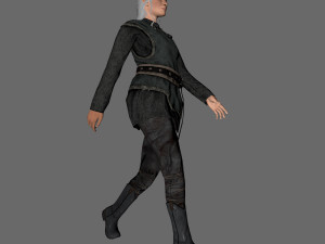 animated elf woman-rigged 3d game character Model 3D