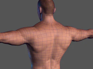 animated naked man-rigged 3d game character 3D Model
