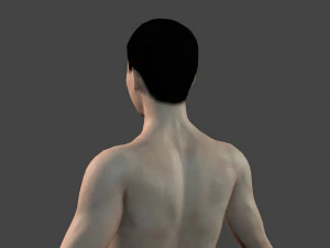 beautiful naked man -rigged 3D Model