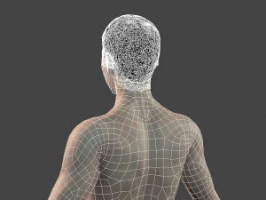 beautiful naked man -rigged 3D Model