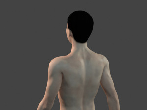 beautiful naked man -rigged 3D Model