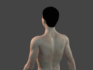 beautiful naked man -rigged 3D Model