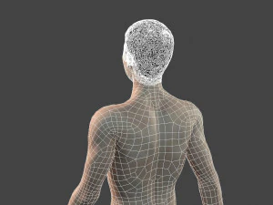 beautiful naked man -rigged 3D Model