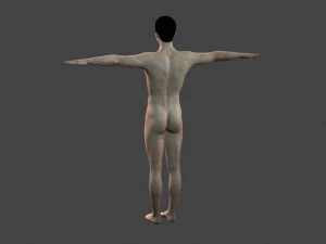 beautiful naked man -rigged 3D Model