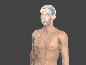 beautiful naked man -rigged 3D Model