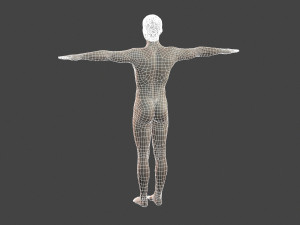 beautiful naked man -rigged 3D Model