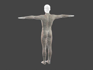 beautiful naked man -rigged 3D Model
