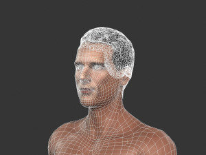 beautiful naked man -rigged Modelo 3D