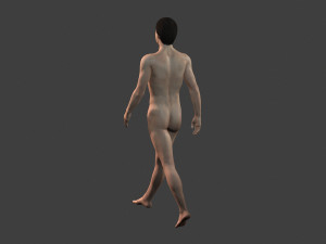 beautiful man -rigged and animated for unity 3D 模型