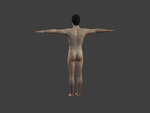beautiful man -rigged and animated for unity 3D 模型