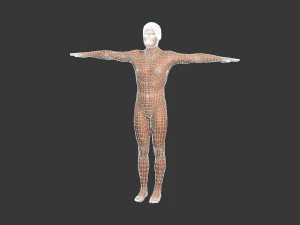 mooie man, opgetuigd en bezield voor eenheid 3D Model