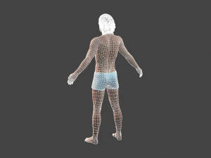 beautiful man -rigged and animated for unity 3D Model