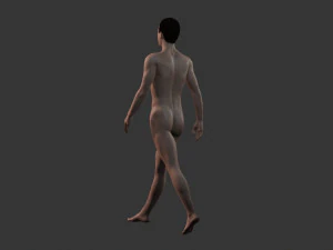 beautiful man -rigged and animated for unity 3D Model