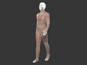 beautiful man -rigged and animated for unity 3D Model