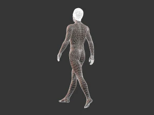 beautiful man -rigged and animated for unity 3D Model
