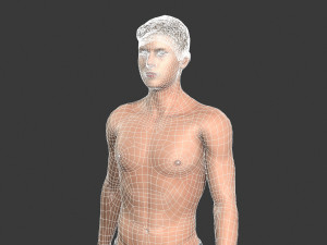 beautiful man -rigged and animated for unity 3D 模型