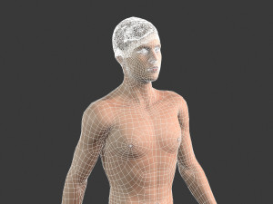 beautiful man -rigged and animated for unity 3D 模型