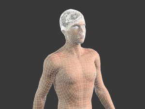 beautiful man -rigged and animated for unity 3D Model