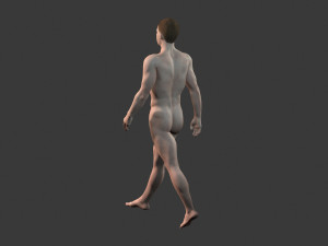 beautiful man -rigged and animated for unity 3Dモデル