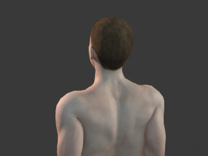 beautiful man -rigged and animated for unity 3Dモデル