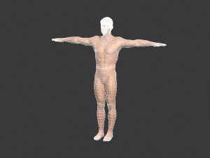 beautiful man -rigged and animated for unity 3Dモデル