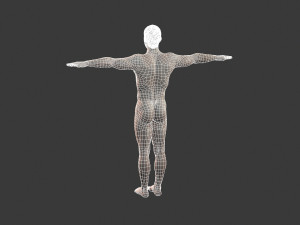 beautiful man -rigged and animated for unity 3Dモデル