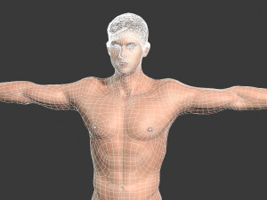beautiful man -rigged and animated for unity 3Dモデル