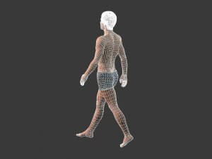 beautiful man -rigged and animated for unity 3D Model