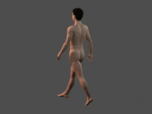 beautiful man -rigged and animated for unity 3D Model