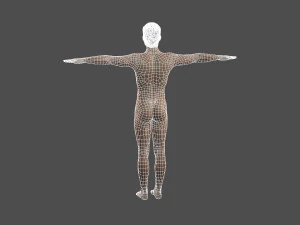 beautiful man -rigged and animated for unity 3D Model
