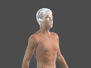 beautiful man -rigged and animated for unity 3D Model