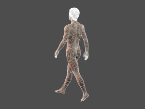 beautiful man -rigged and animated for unity 3D Model