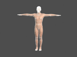beautiful woman -rigged 3d character 3D Model