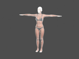 beautiful woman -rigged 3d character 3D Model