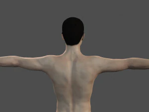 beautiful man -rigged and animated for unity 3D Model