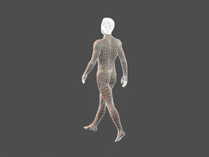 beautiful man -rigged and animated for unity 3D Model