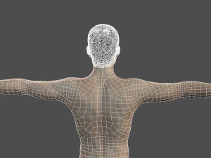 beautiful man -rigged and animated for unity 3D Model