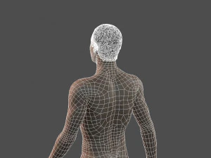 beautiful man -rigged 3d character 3D Model