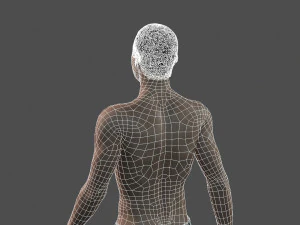 beautiful man -rigged and animated for unity 3D Model