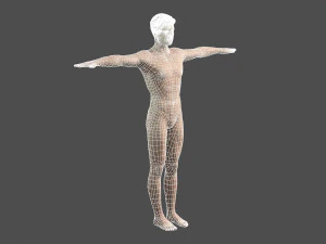 beautiful man -rigged and animated for unity 3D Model