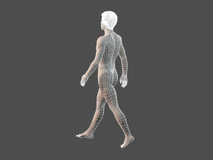 beautiful man -rigged and animated for unity 3D Model
